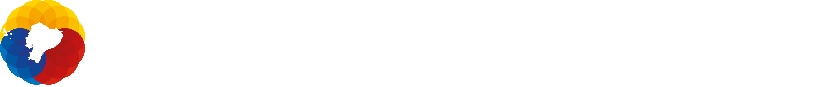 Intranet SOT Logo